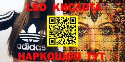 spice Будённовск
