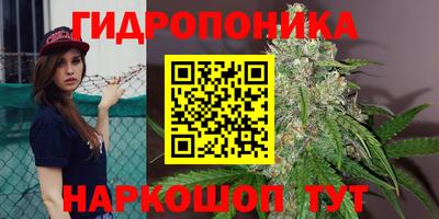 spice Будённовск