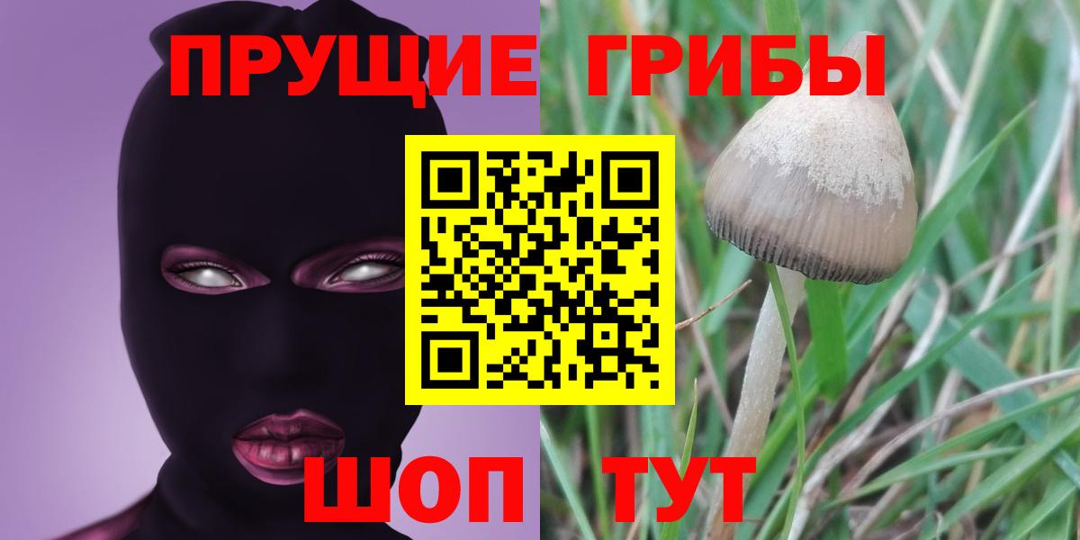 Галлюциногенные грибы MAGIC MUSHROOMS  Галлюциногенные грибы Magic Shrooms  Вход с VPN  Красноуфимск 